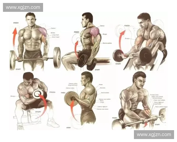 以肌肉协调为核心的运动表现优化与功能整合研究训练路径与实践探索