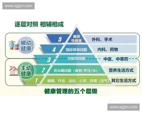 以体能评估为核心构建全面健康管理体系的研究与实践探索
